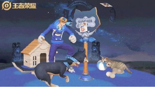 大乔猫狗爆料视频大全集,揭秘视频大全集精彩瞬间  第1张