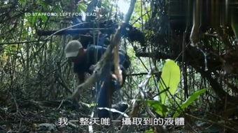 空蝉的森林在线观看,沉浸式在线观影之旅  第3张