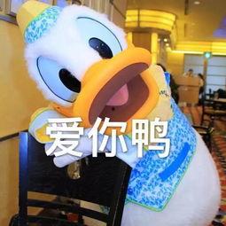 娱乐吃瓜鸭图片,揭秘娱乐圈那些不为人知的幕后故事  第2张